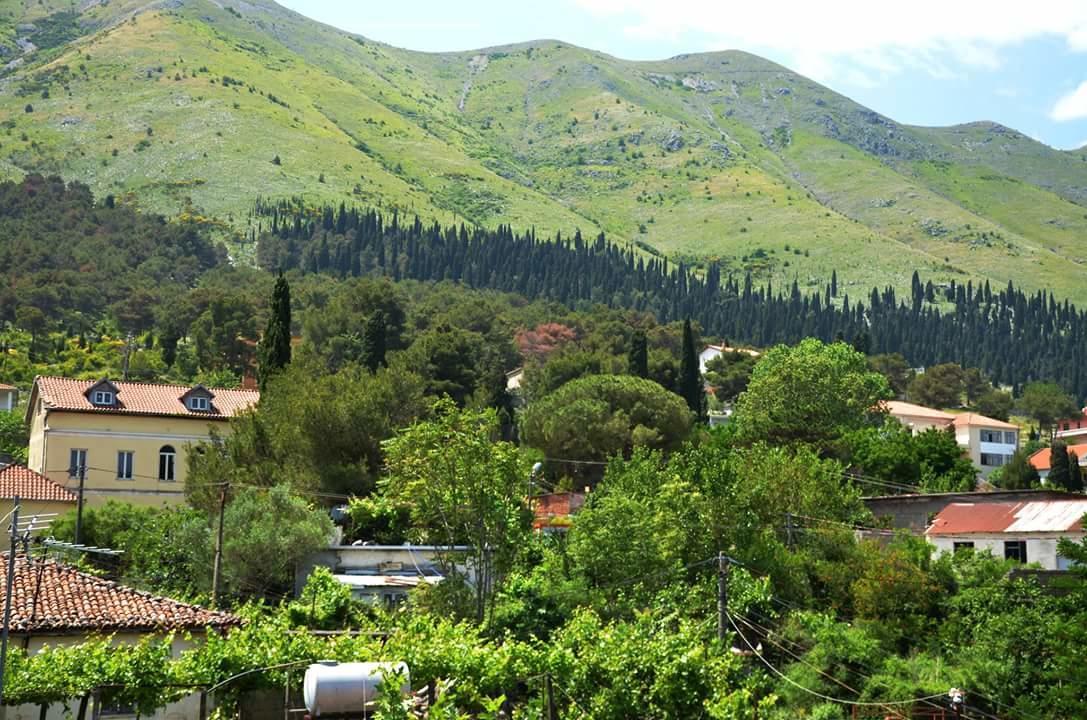 Hotel Shkodra Lake Shirokë Exterior foto